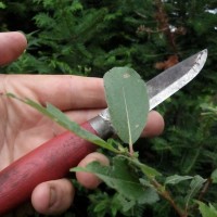 Bushcraft Knife