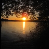 Sunset Through Hemlock Boughs