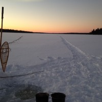 Twilight At The Water Hole