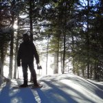 Backlit-Axeman.jpgimgmax608