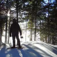 Backlit-Axeman.jpgimgmax608