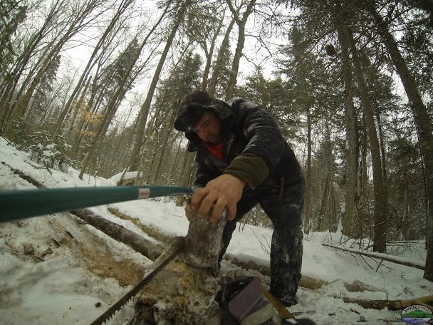 Sawing Firewood