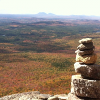 Northern Maine Woods