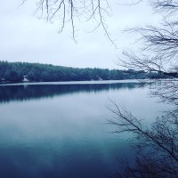 f65d7063-e636-4bf7-82ec-6ecdd1a1a3f7imgmax608