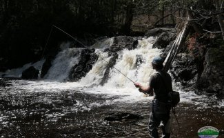 fly fishing by the falls