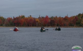 canoes and fall foliage