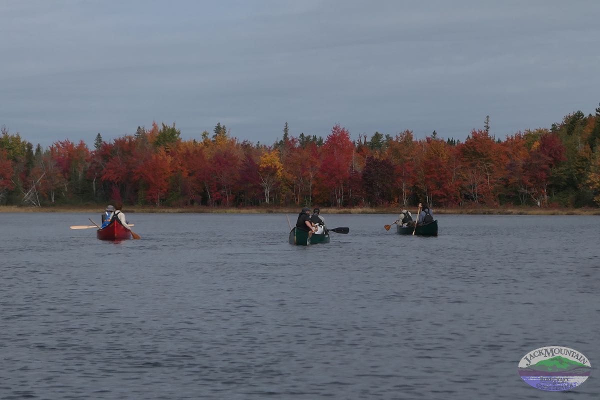 canoes and fall foliage