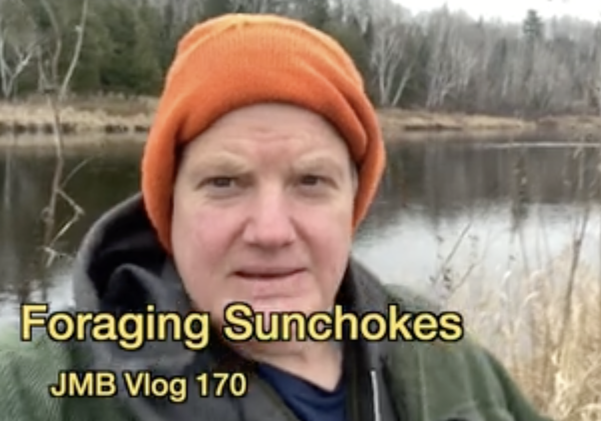 Foraging Sunchokes | JMB Vlog 170
