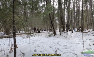 snowy woods scene
