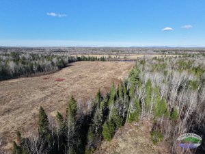 Scenic vista looking down toward the Aroostook river