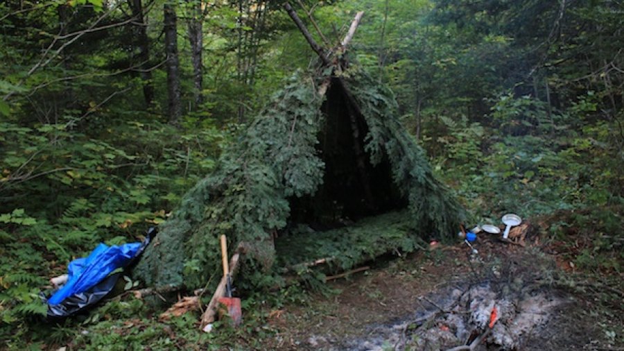 Seven Points For Beginning Bushcraft