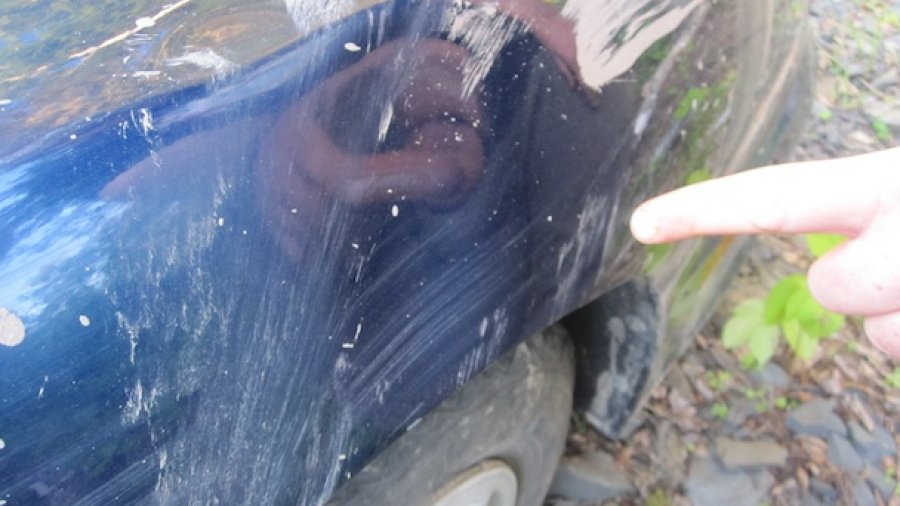 Hit A Moose