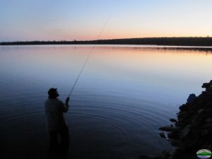 Casting a fly at dusk.
