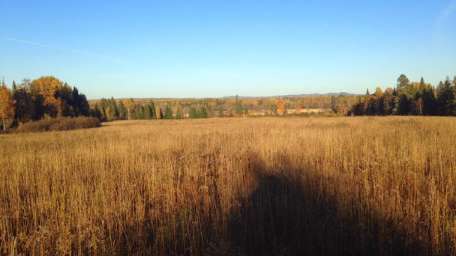 New Program: Autumn Woodsman Course
