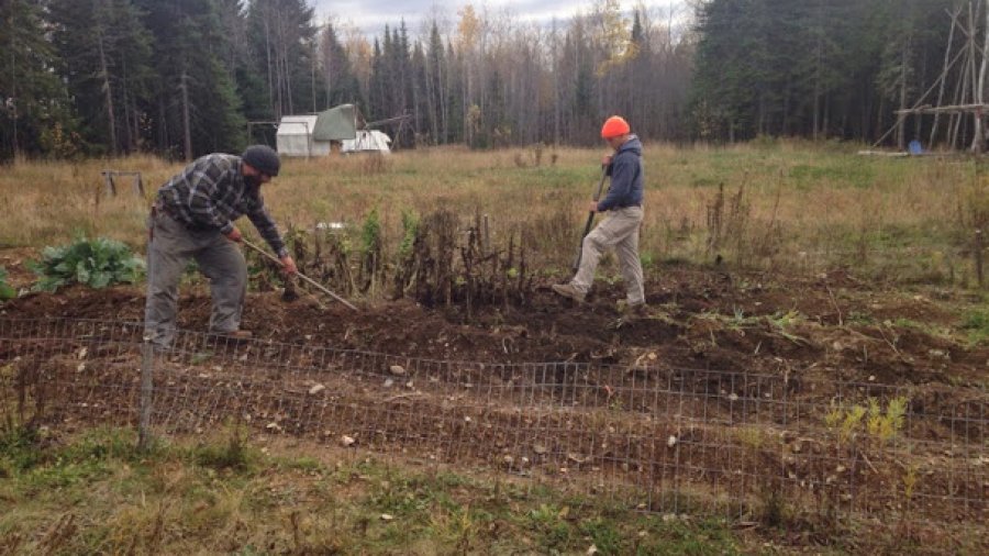 Wanted: Chief Permaculture Officer