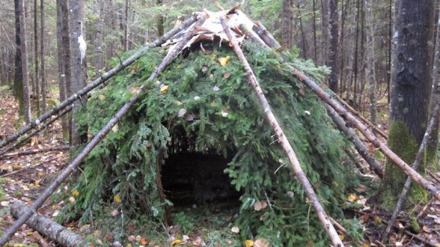 Trust The Source Before You Trust Their Wilderness Survival Information