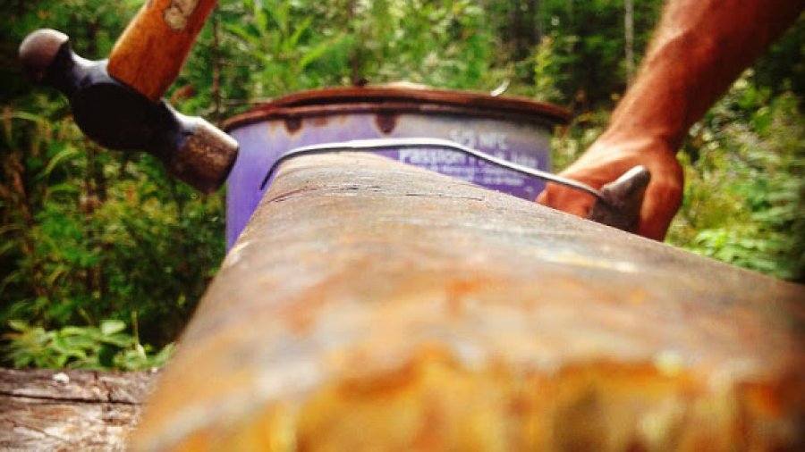 Local Partnership | School Of The Forest & G.A.L.A