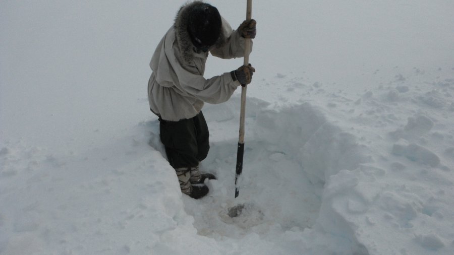 Boreal Snowshoe Expedition Update For 2020: Advanced Winter Survival & Snowshoe Expedition Guide Training Course