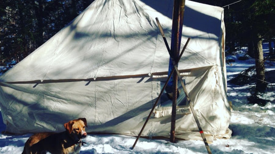 Six Weeks On The Trail This Winter