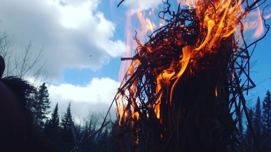 Wilderness Survival Simplified