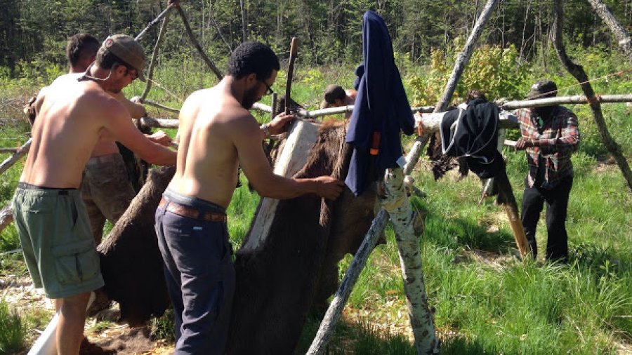 Braintanning: scaping hides and feeding the black flies