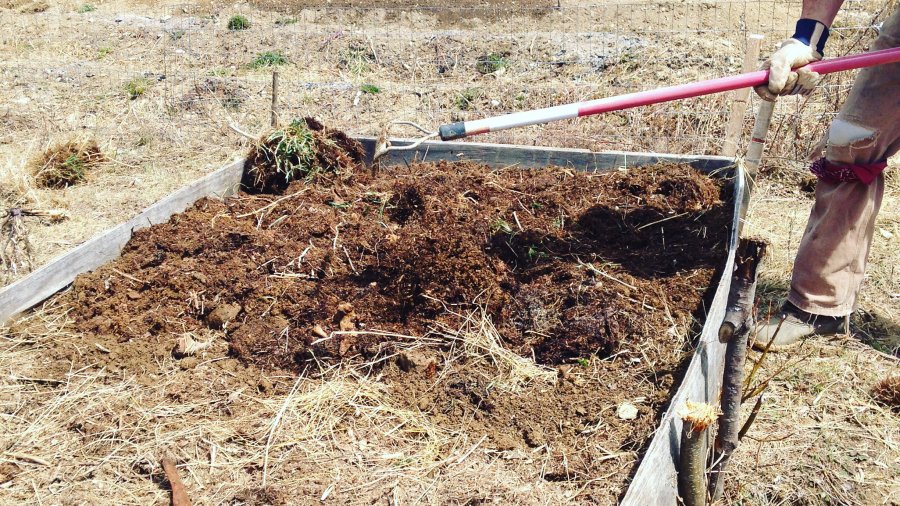 New Garden Bed