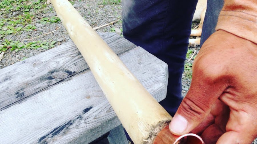 Becoming a canoe pole