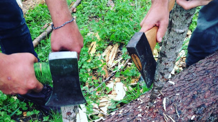 Making wooden wedges to split a tree the long way for canoe paddle blanks