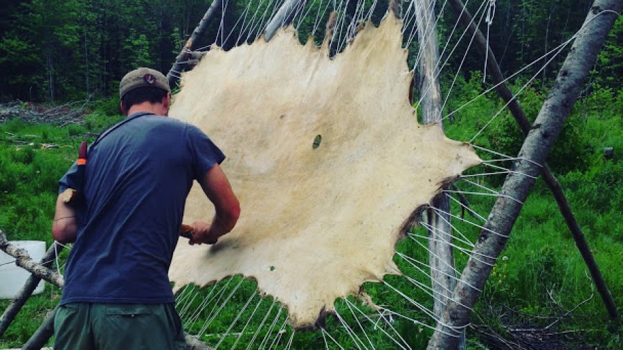 Stretching a hide in a frame