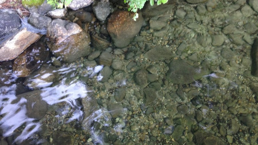 Starting the day with a swim in this beautiful water before anyone else is awake
