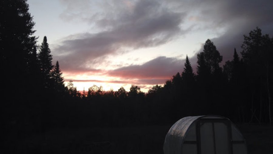 Sunrise over the greenhouse