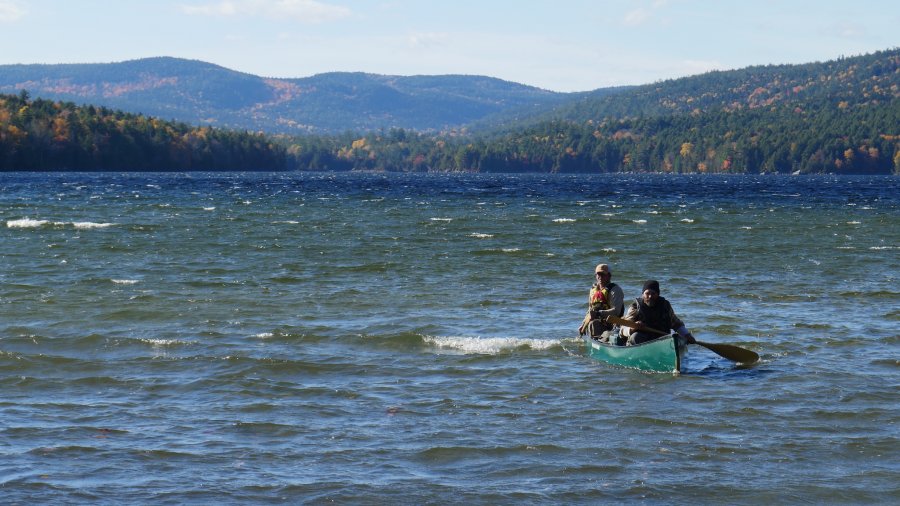 Paddling With A Brisk Tailwind