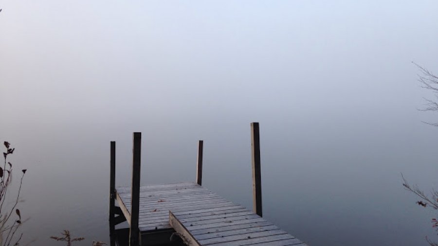 Misty morning on the pond