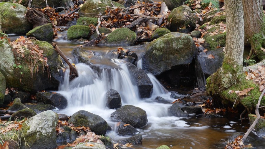 Tumbling Stream