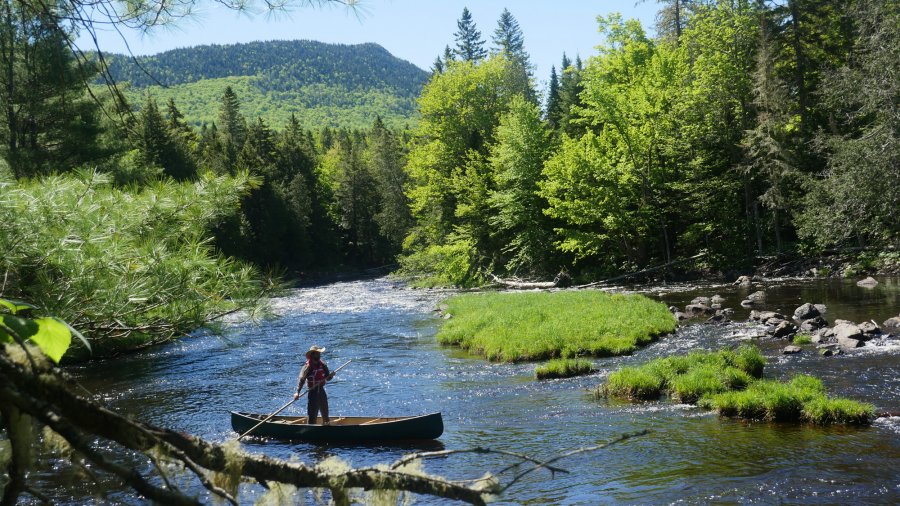 Primitive Wilderness Living Practicum | JMBP-E031