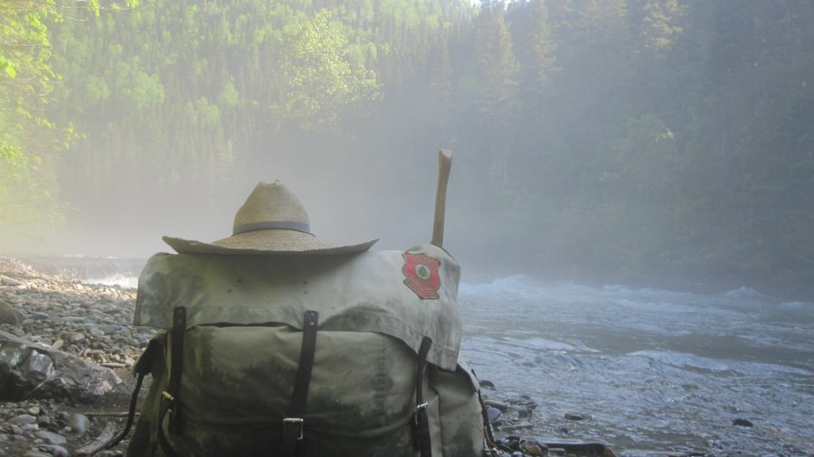 Pack In The Mist