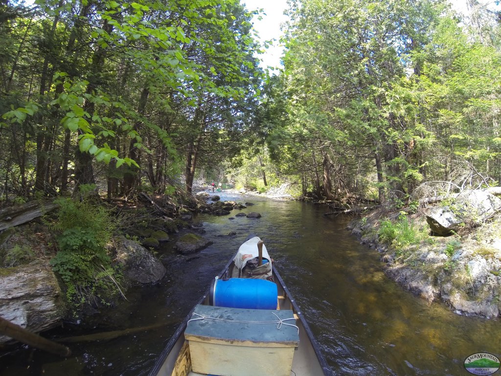 Underwater Basket Weaving Jack Mountain Bushcraft Vlog 102