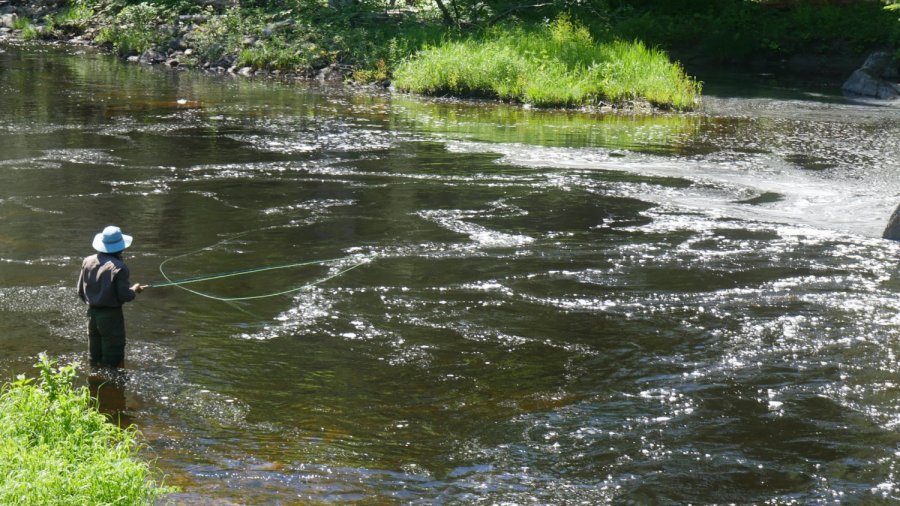 Fly Fishing With A Nymph