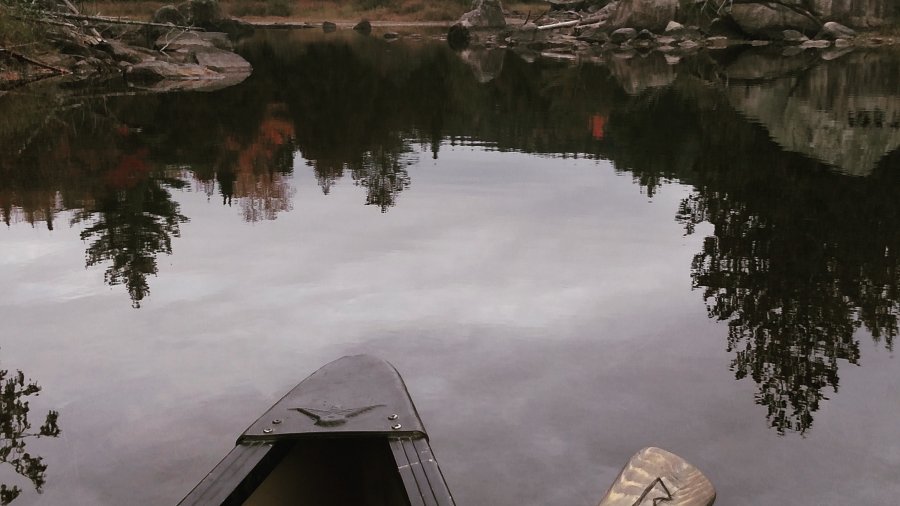 Finding Your Niche In Bushcraft And The Outdoors As A Young Person
