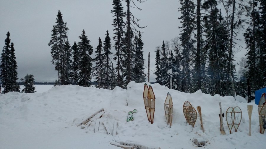 School Of The Forest Newsletter Update