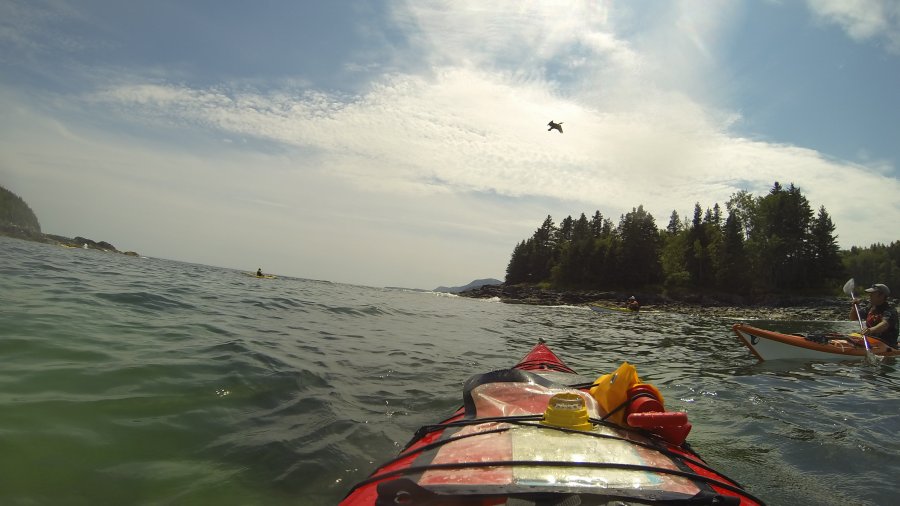 Sea Kayak Guide License A Long Time Coming