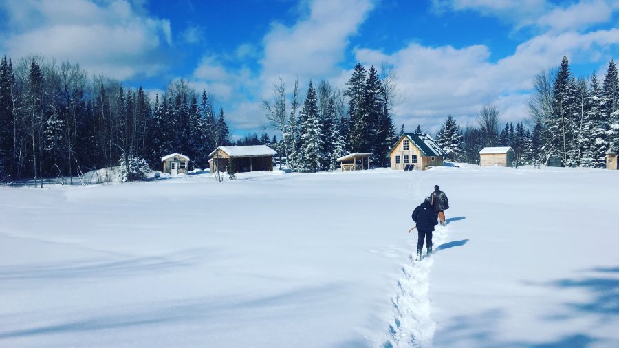 Winter Programs And Difficulty Finding Snowshoes in 2022-2023