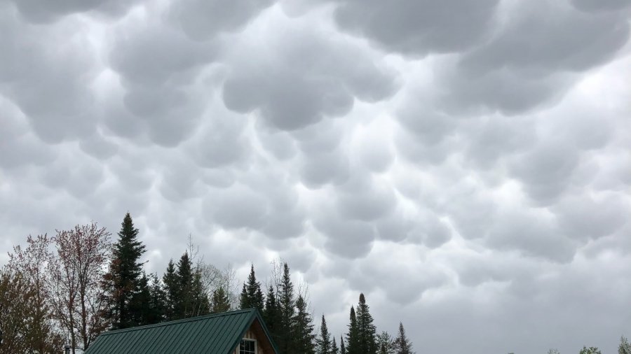 BushcraftSchool.com Weather Course: What You’ll Need
