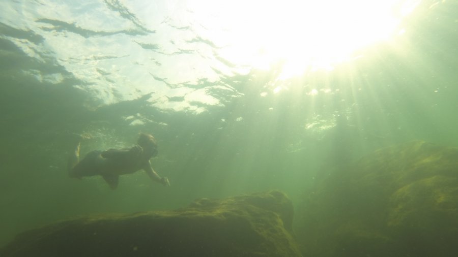 Keeping Cool In The Water