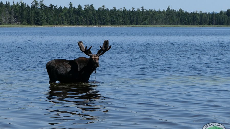 New For 2022: Expedition Instructor (XI) Program,  7-Month Residential Wilderness Instructor & Guide Immersion Training
