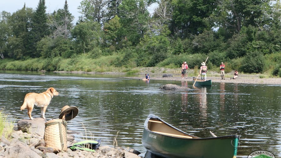 Lucky The Wonder Dog, Water Safety Officer