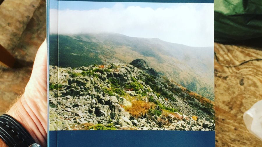 Northern Maine Plant ID Book | The Plants Of Baxter State Park