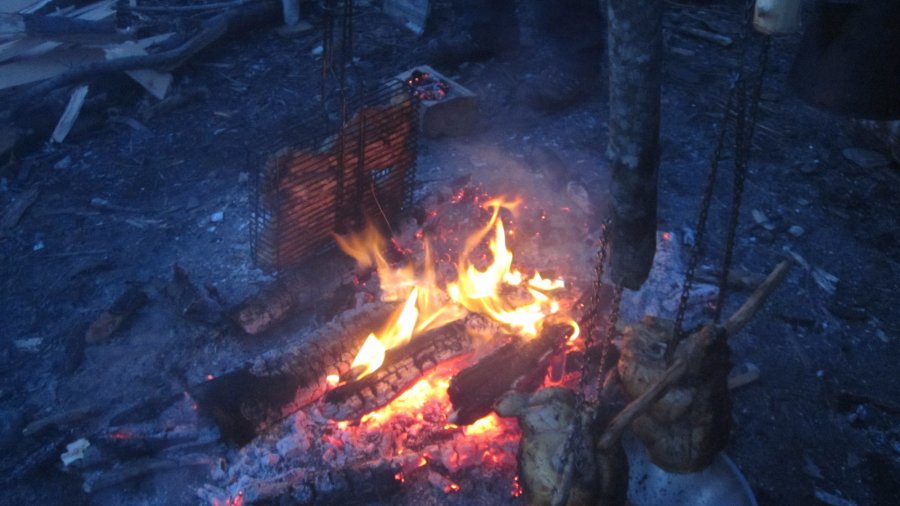 Wilderness Bushcraft Semester Dates Changed For 2019