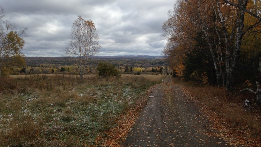 Autumn Woodsman Course – Three Spots Remaining