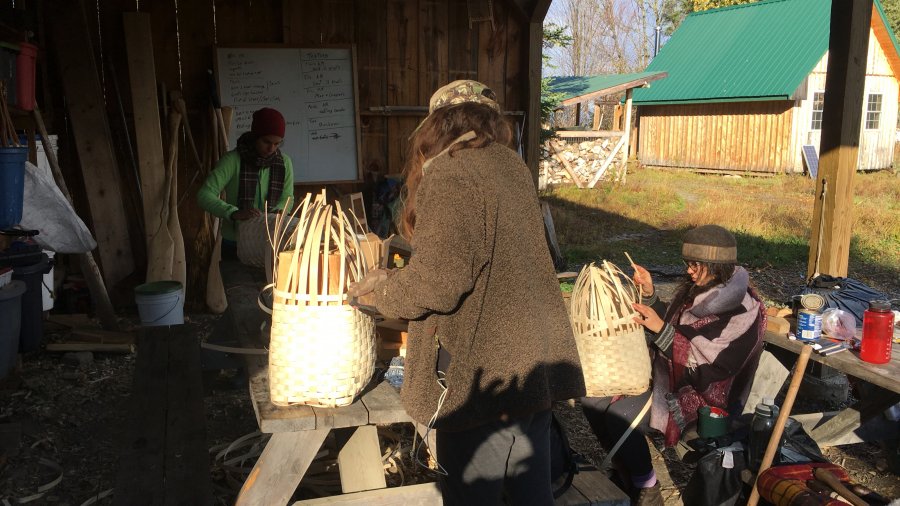 Pack Basket Afternoon
